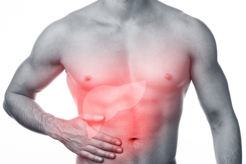 Healing The Liver After Alcohol Addiction Healing The Liver After Alcohol Addiction